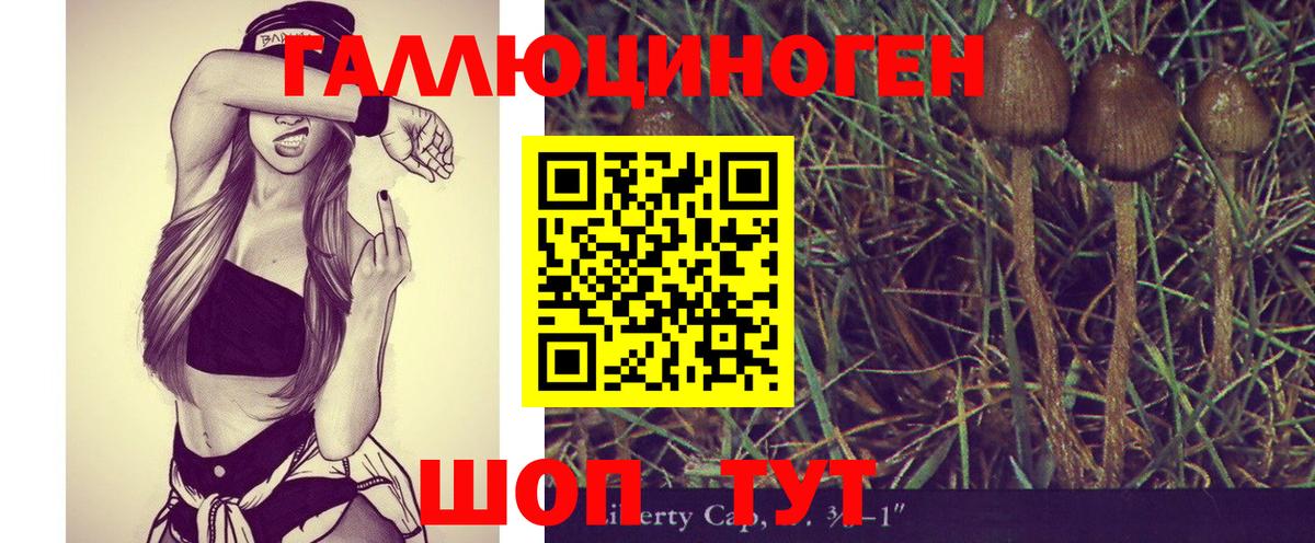 Галлюциногенные грибы Psilocybe  Псилоцибиновые грибы Magic Shrooms  Тара  Вход с VPN 